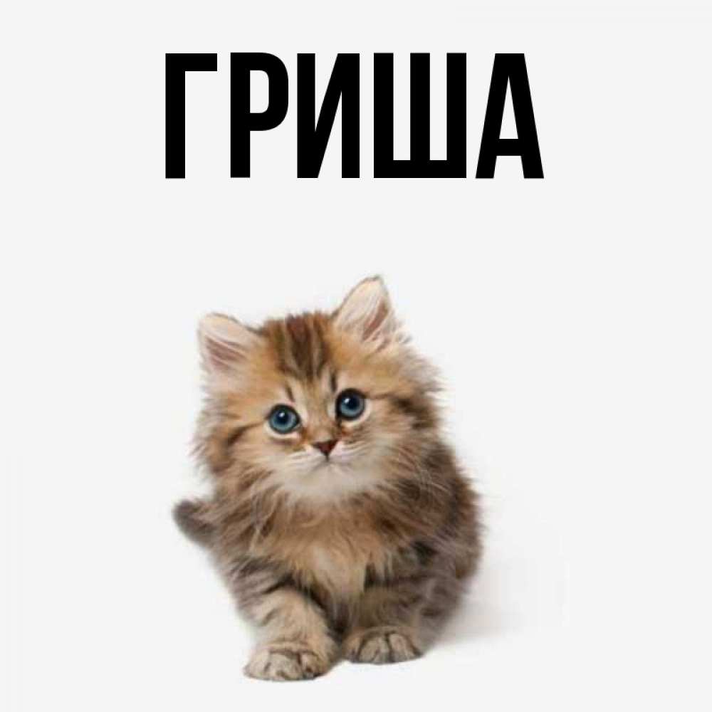Открытки гриша ком