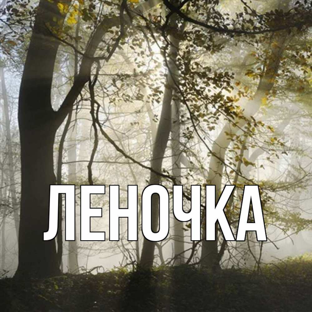 магадане местными картинки с именем леночка наговицына солянке это одно