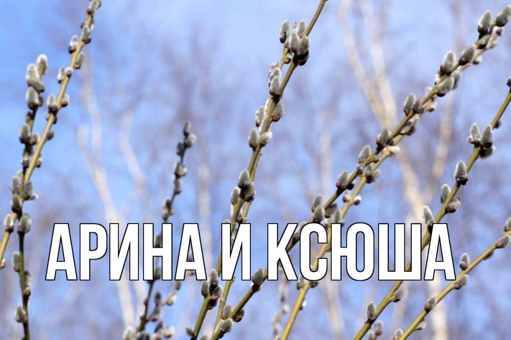 Открытка на каждый день с именем, Арина-и-Ксюша Главная верба Прикольная открытка с пожеланием онлайн скачать бесплатно 