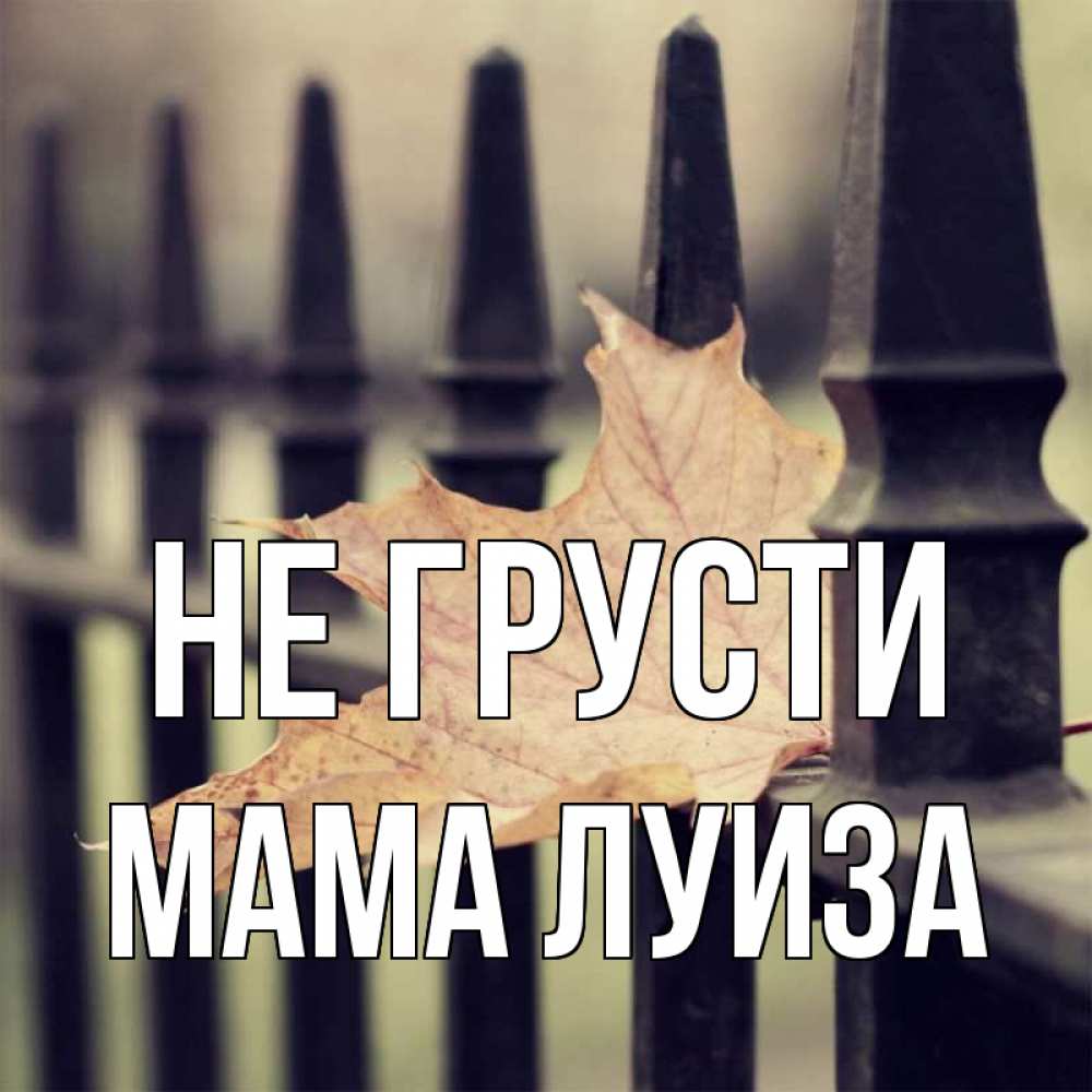 Открытка на каждый день с именем, Мама-Луиза Не грусти лист клена Прикольная открытка с пожеланием онлайн скачать бесплатно 
