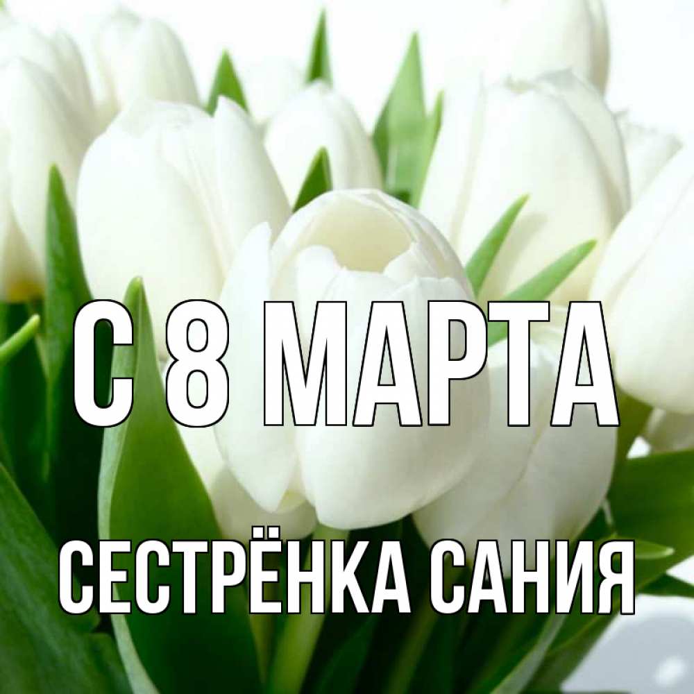 Открытка на каждый день с именем, Сестрёнка-Сания С 8 марта цветы Прикольная открытка с пожеланием онлайн скачать бесплатно 