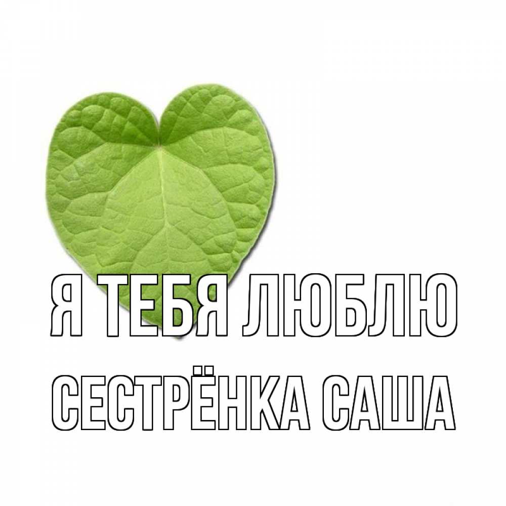 Открытка на каждый день с именем, Сестрёнка-Саша Я тебя люблю тебе Прикольная открытка с пожеланием онлайн скачать бесплатно 