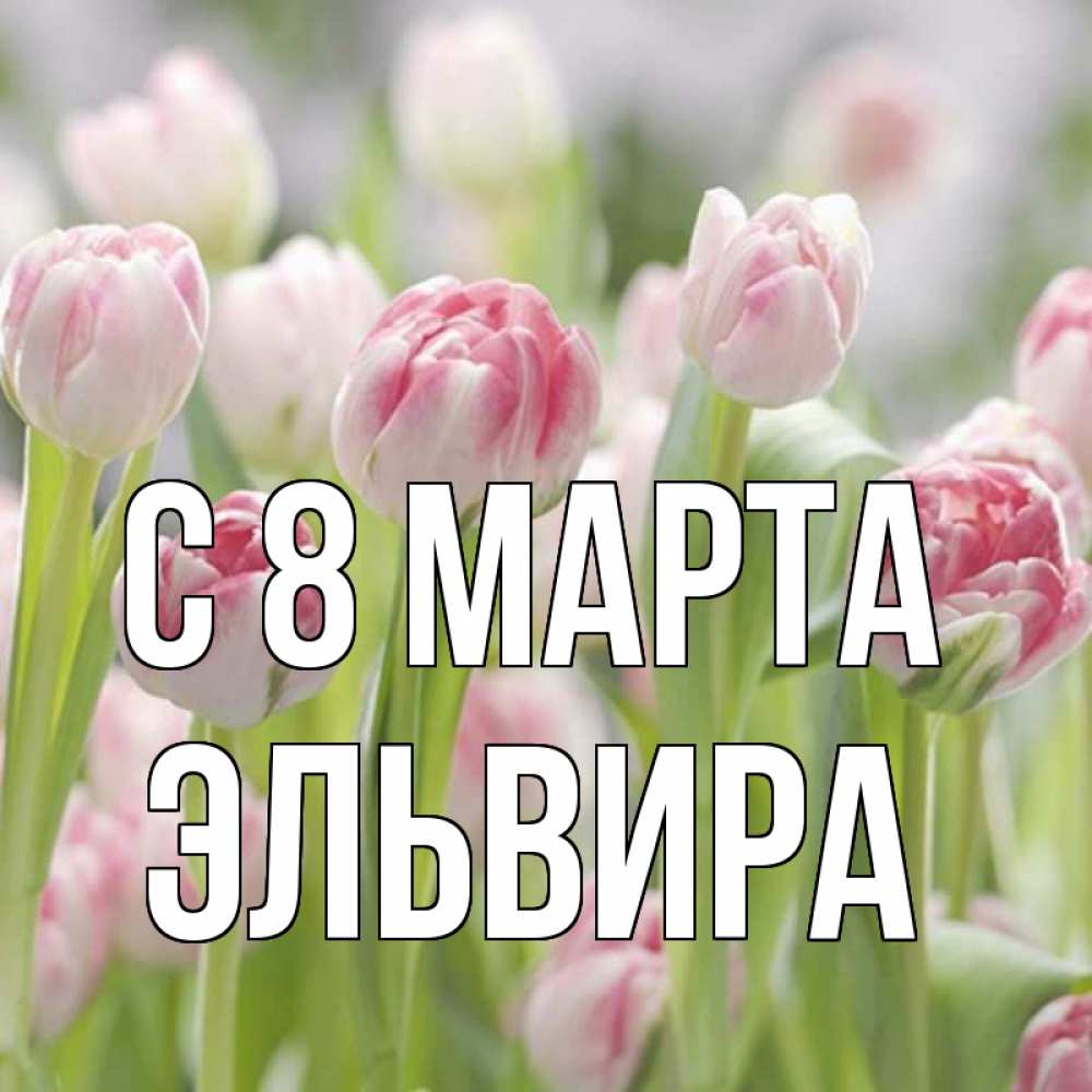 Открытка на каждый день с именем, Эльвира С 8 марта цветы Прикольная открытка с пожеланием онлайн скачать бесплатно 