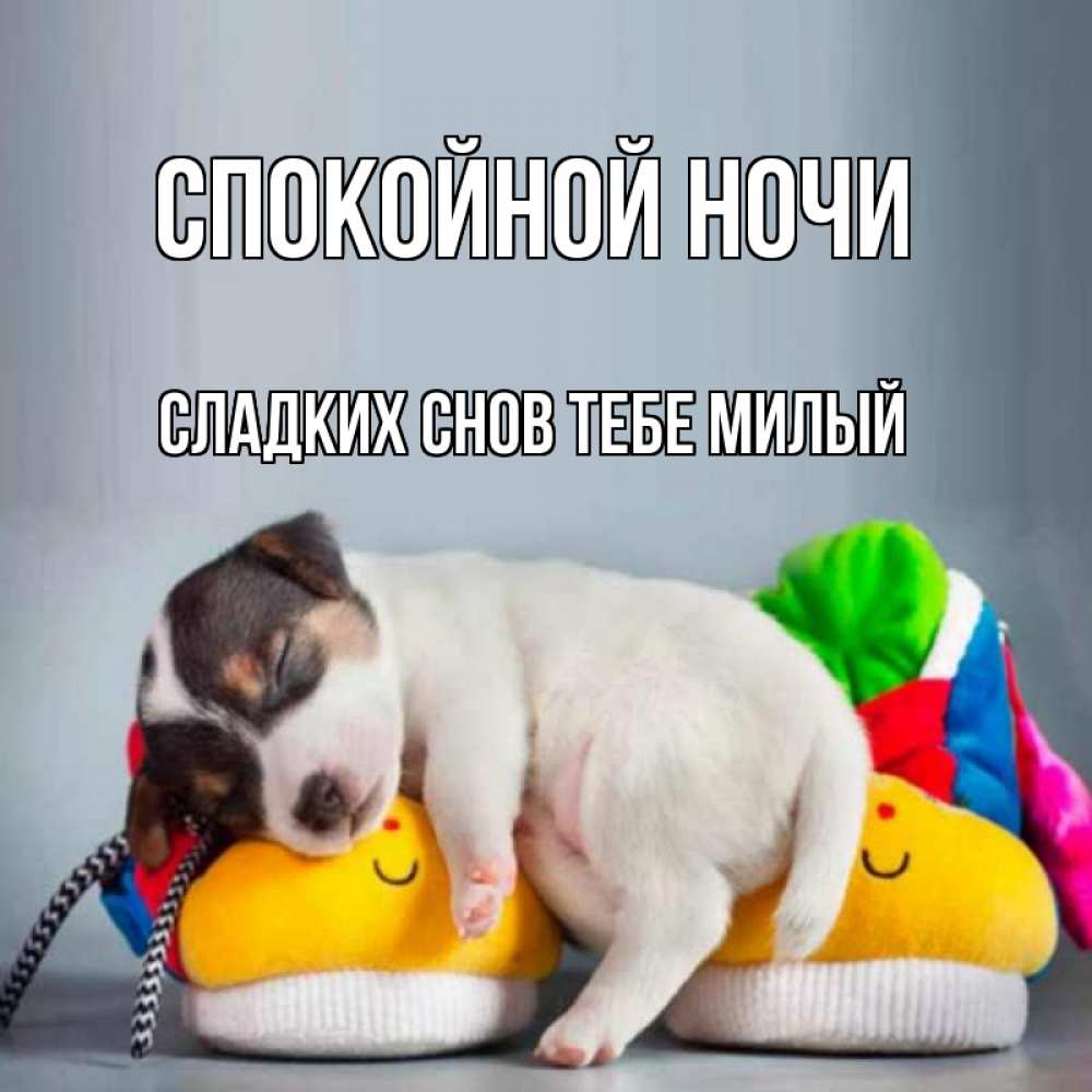 Картинка Спокойной ночи,  сладких снов тебе милый
