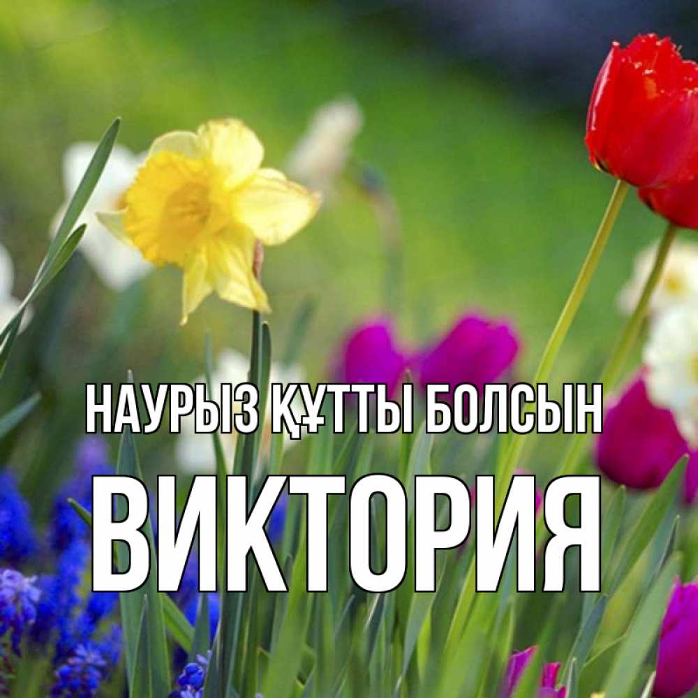 Открытка на каждый день с именем, Виктория Наурыз құтты болсын наурыз  3 открытки Прикольная открытка с пожеланием онлайн скачать бесплатно 