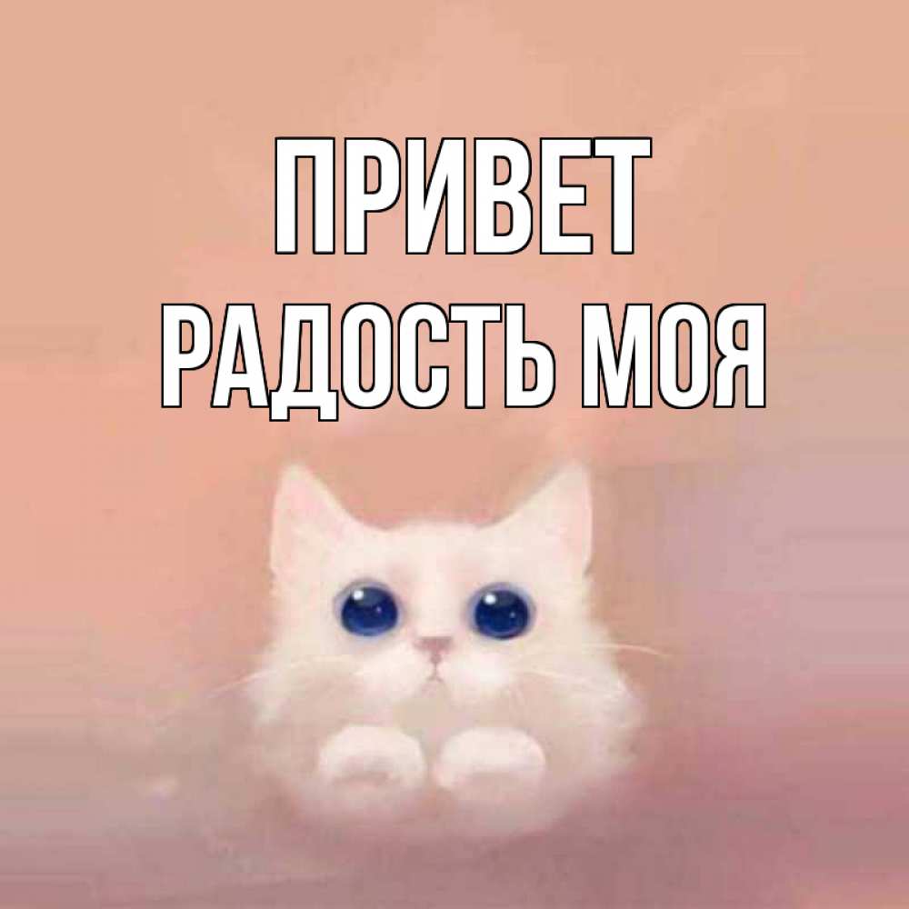 Привет радость моя картинки