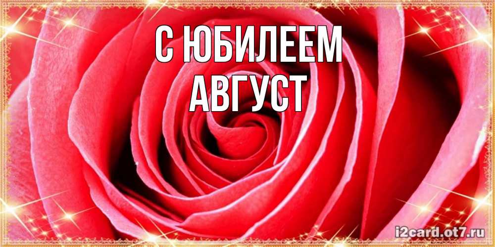 Открытка на каждый день с именем, Август С юбилеем розовая роза очень крупный бутон Прикольная открытка с пожеланием онлайн скачать бесплатно 