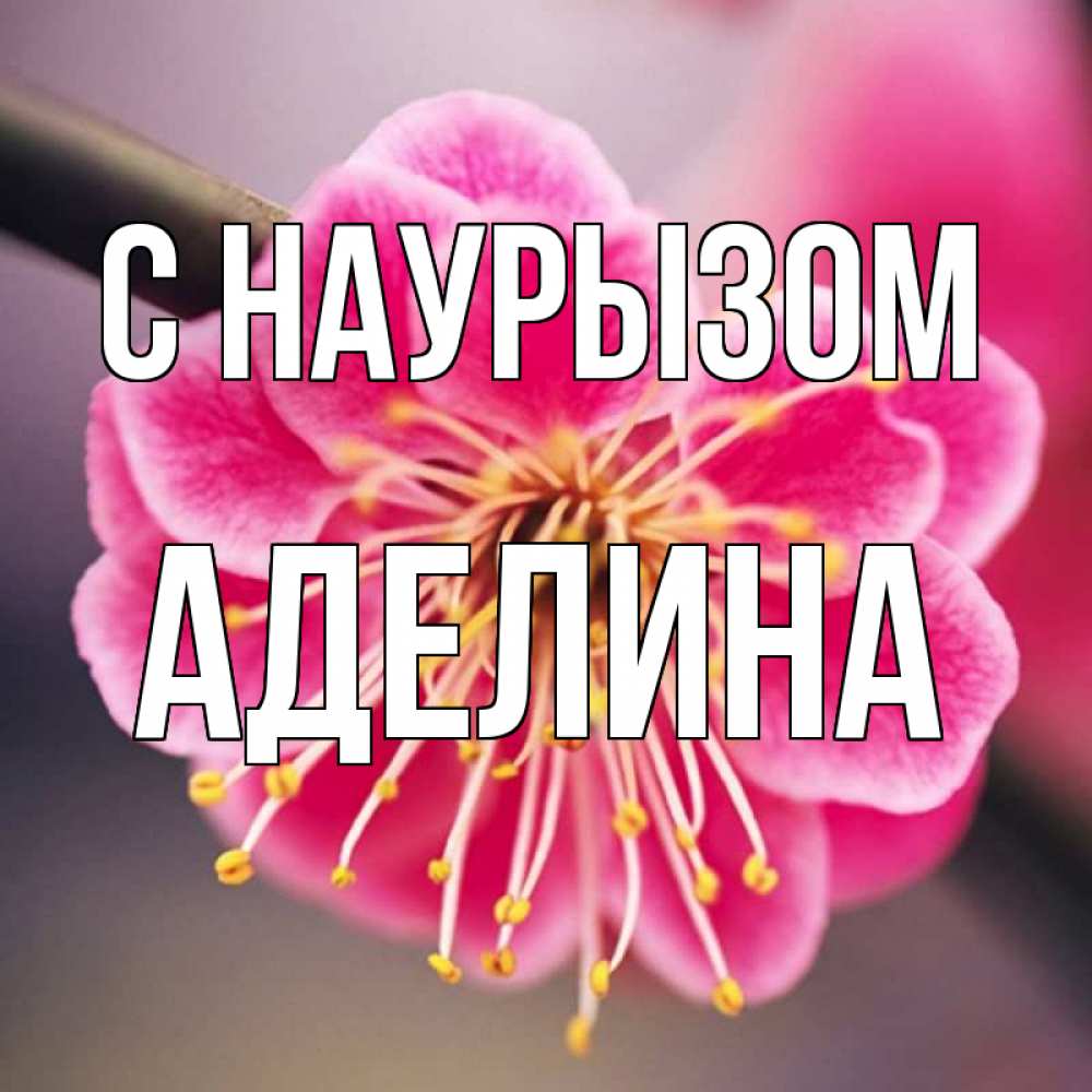 Открытка на каждый день с именем, Аделина С наурызом цветы Прикольная открытка с пожеланием онлайн скачать бесплатно 