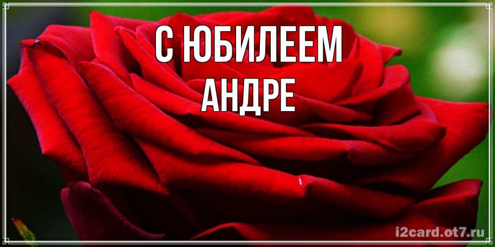Открытка на каждый день с именем, Андре С юбилеем розочка очень красивая Прикольная открытка с пожеланием онлайн скачать бесплатно 