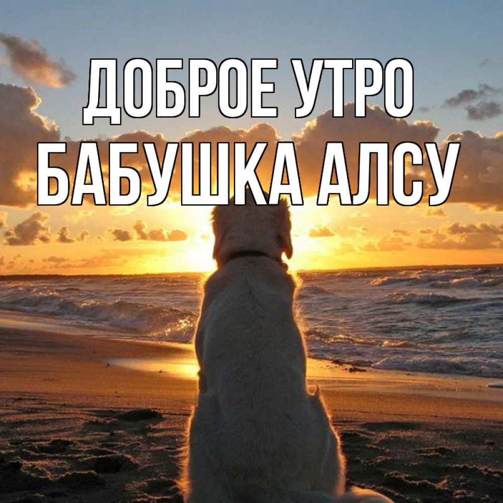 Открытка на каждый день с именем, Бабушка-Алсу Доброе утро восход солнца Прикольная открытка с пожеланием онлайн скачать бесплатно 