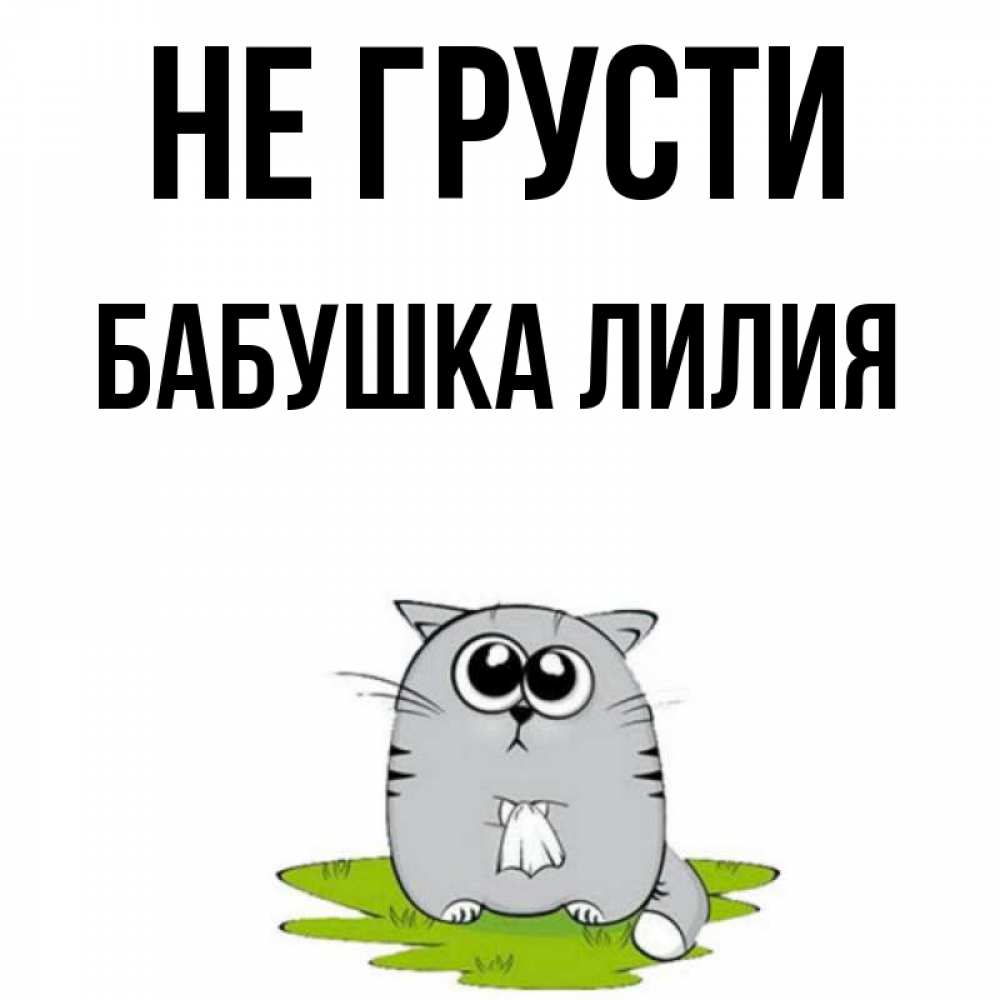 Открытка на каждый день с именем, Бабушка-Лилия Не грусти грустный котяра Прикольная открытка с пожеланием онлайн скачать бесплатно 