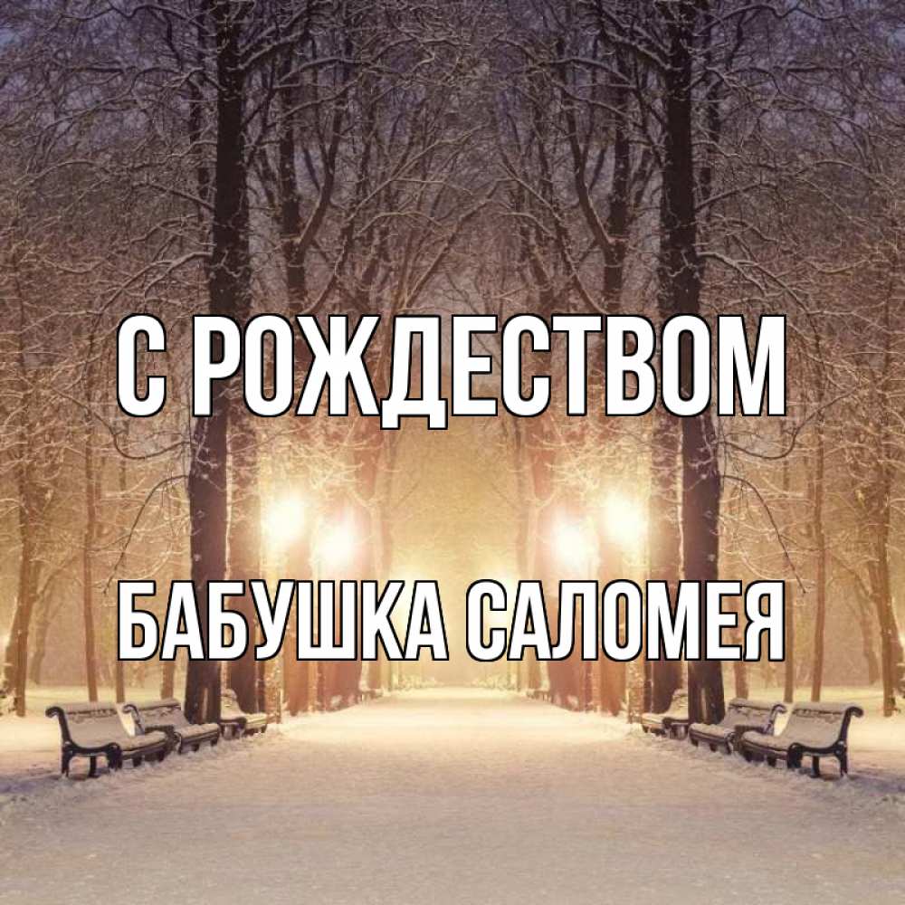 Открытка на каждый день с именем, Бабушка-Саломея С рождеством зима, парк, фонарь, лес Прикольная открытка с пожеланием онлайн скачать бесплатно 