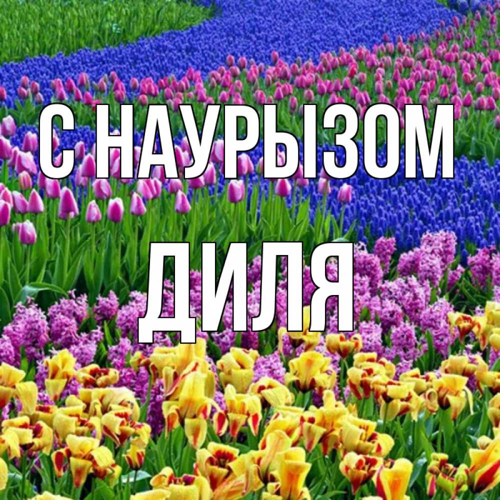 Открытка на каждый день с именем, Диля С наурызом цветы Прикольная открытка с пожеланием онлайн скачать бесплатно 