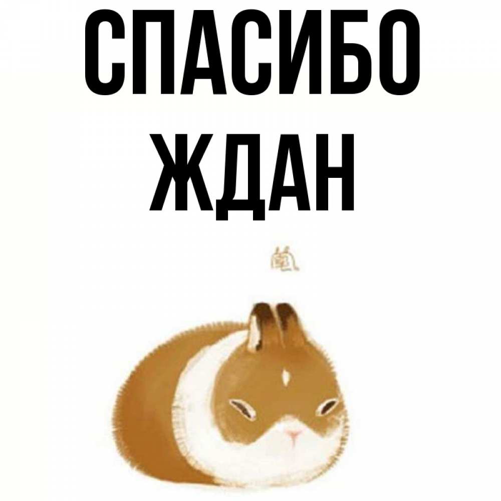 Открытка на каждый день с именем, Ждан Спасибо коричнево белый домашний питомец Прикольная открытка с пожеланием онлайн скачать бесплатно 