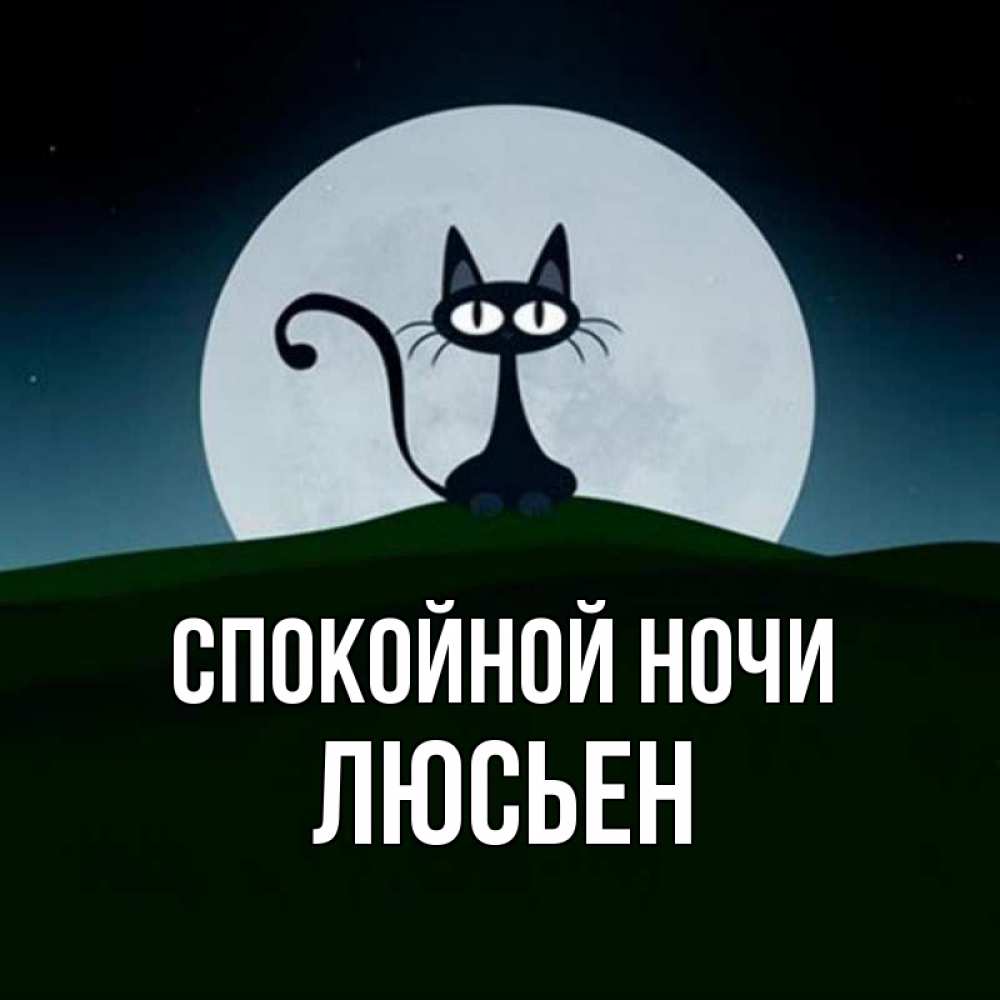Открытка на каждый день с именем, Люсьен Спокойной ночи хорошо выспаться ночью и без кошмаров Прикольная открытка с пожеланием онлайн скачать бесплатно 