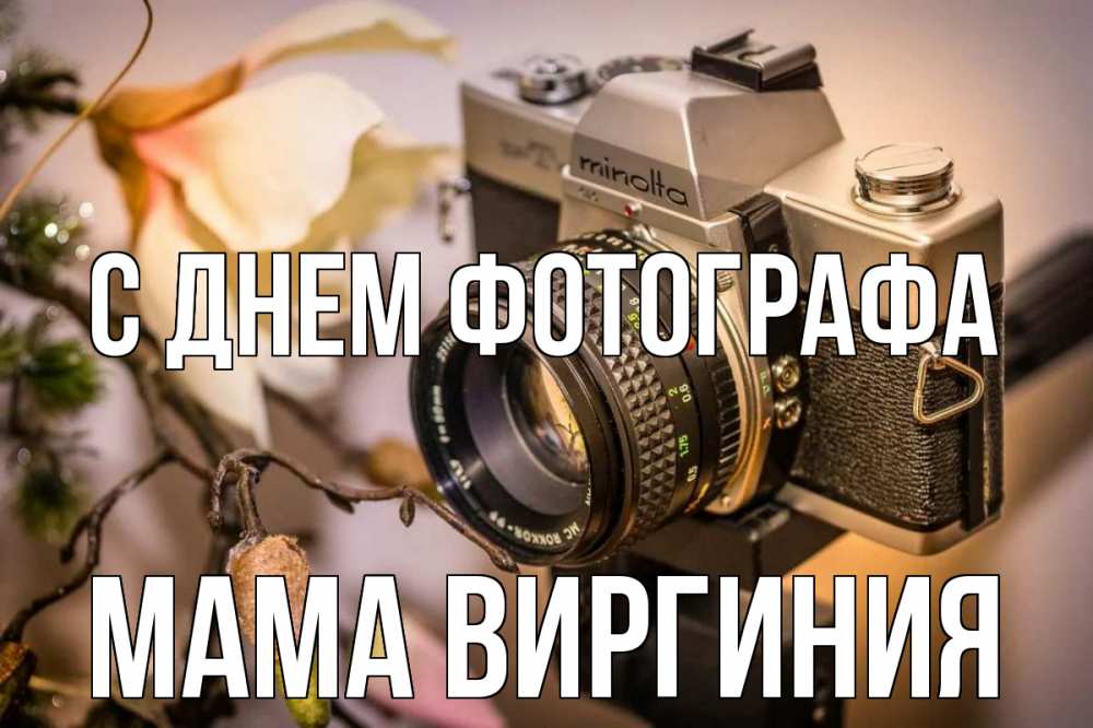 Открытка на каждый день с именем, Мама-Виргиния С днем фотографа с днем фотографа 1 Прикольная открытка с пожеланием онлайн скачать бесплатно 