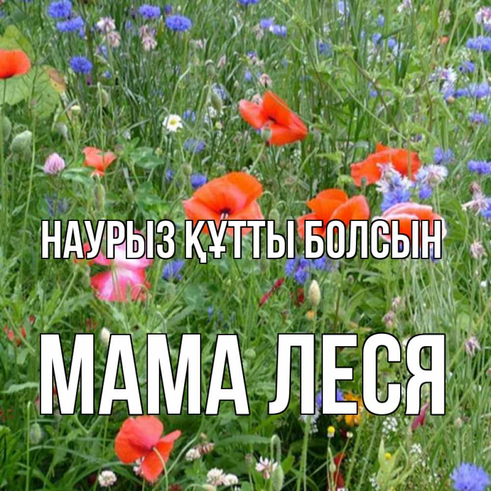 Открытка на каждый день с именем, Мама-Леся Наурыз құтты болсын наурыз  4 Прикольная открытка с пожеланием онлайн скачать бесплатно 