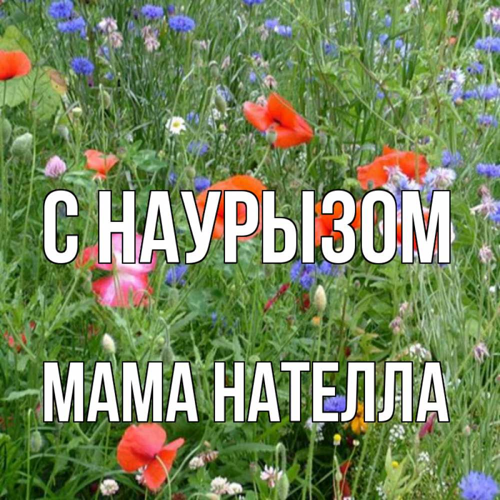 Открытка на каждый день с именем, Мама-Нателла С наурызом праздник весны наурыз супер открытка Прикольная открытка с пожеланием онлайн скачать бесплатно 