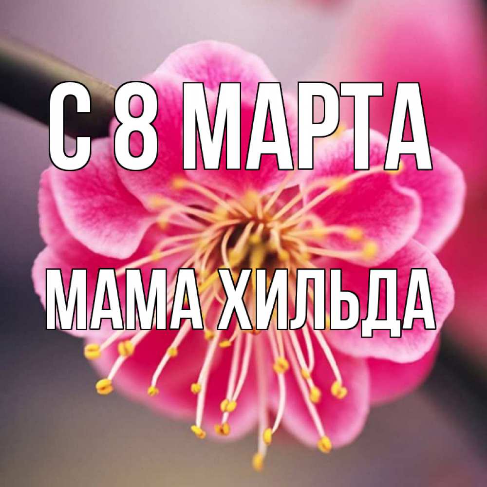 Открытка на каждый день с именем, Мама-Хильда С 8 МАРТА цветы Прикольная открытка с пожеланием онлайн скачать бесплатно 