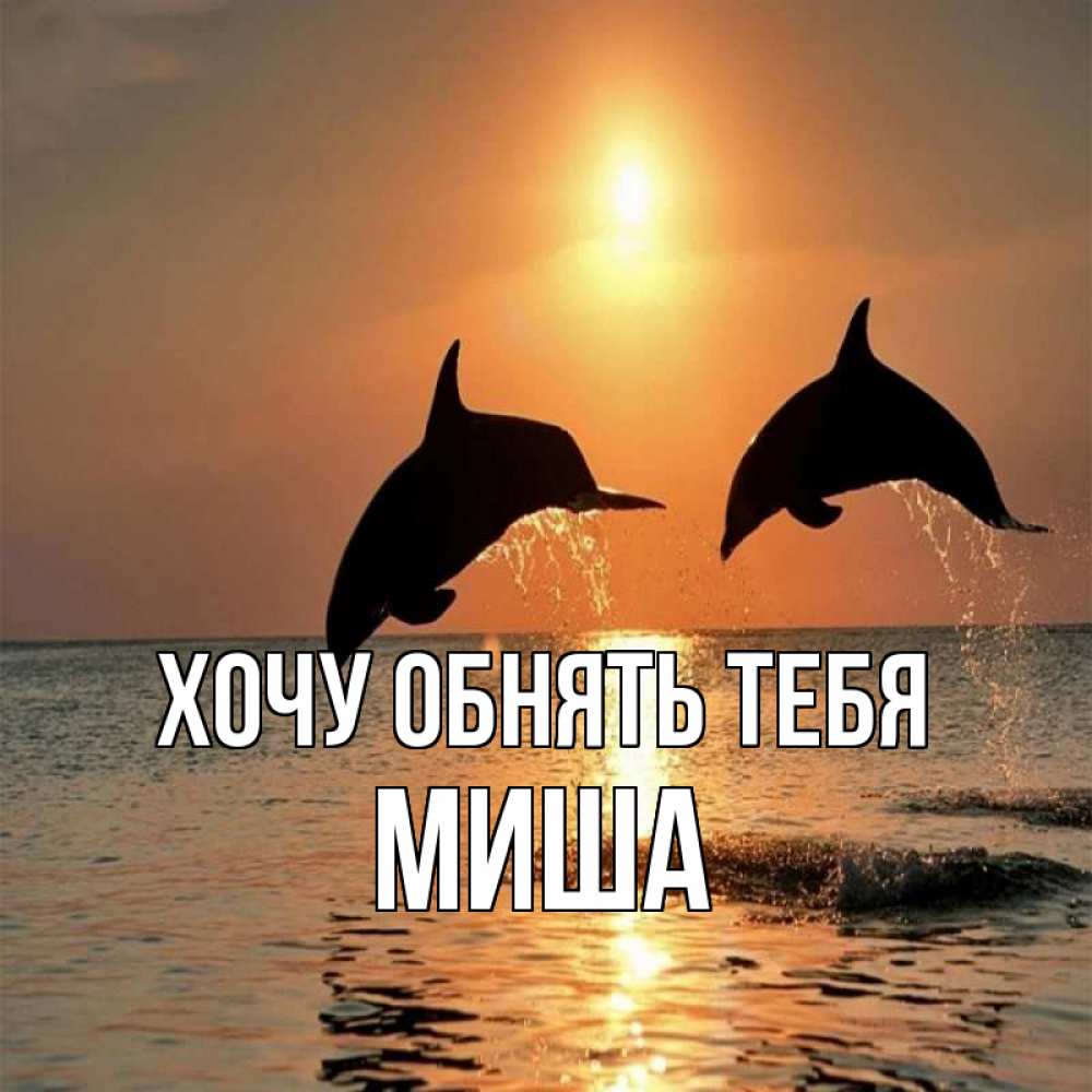 Открытка на каждый день с именем, Миша Хочу обнять тебя рыбы на закате Прикольная открытка с пожеланием онлайн скачать бесплатно 