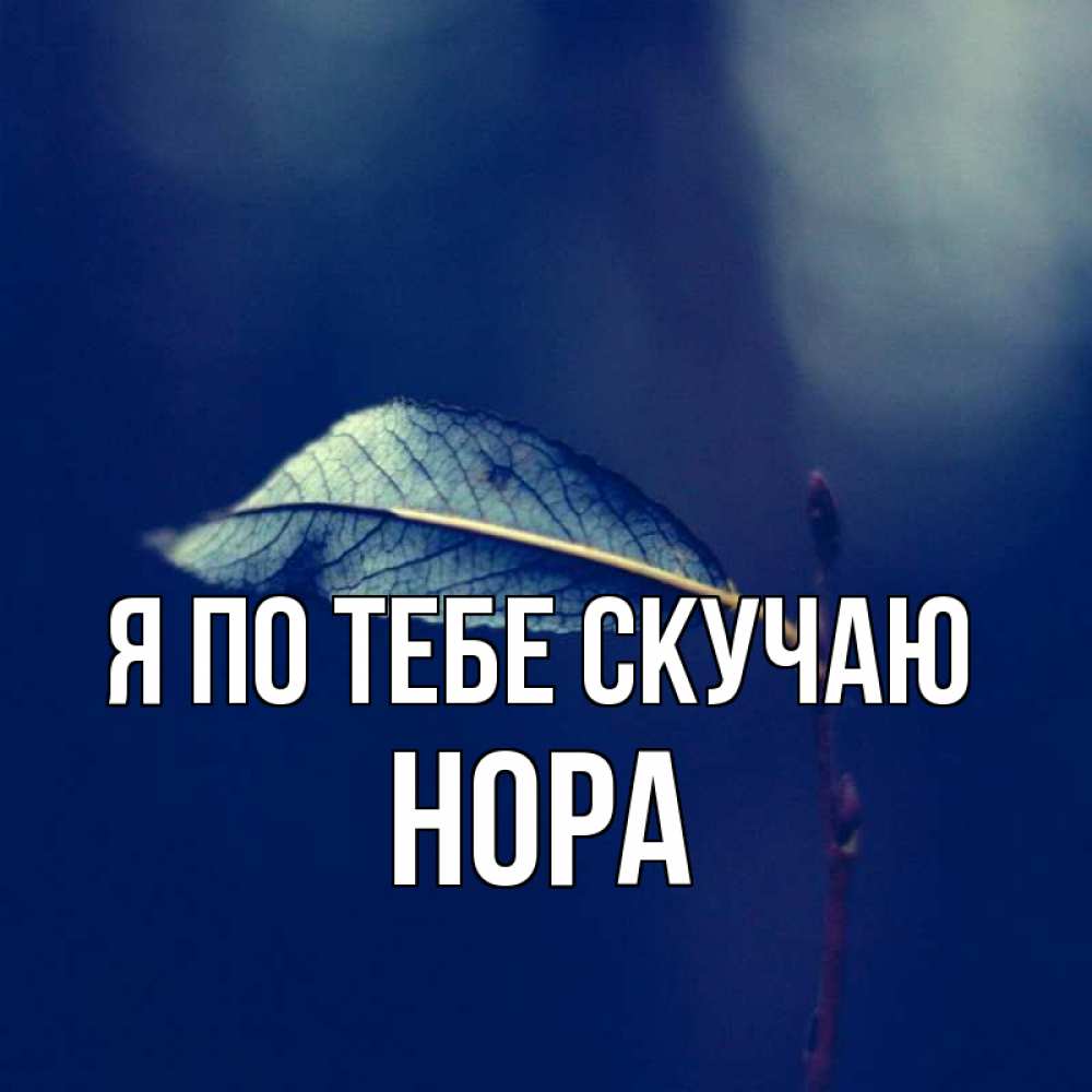 Открытка на каждый день с именем, Нора Я по тебе скучаю одна ветка 1 Прикольная открытка с пожеланием онлайн скачать бесплатно 