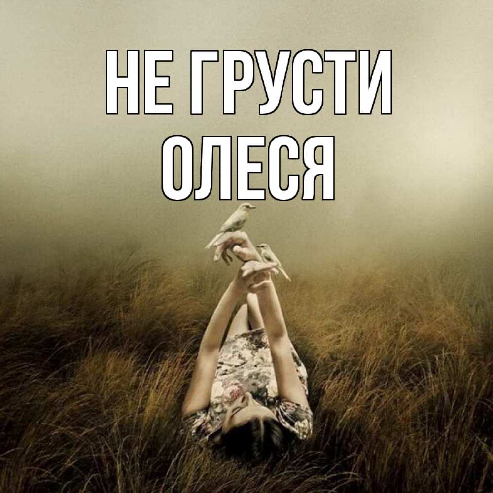 Открытка на каждый день с именем, Олеся Не грусти поле и туман Прикольная открытка с пожеланием онлайн скачать бесплатно 