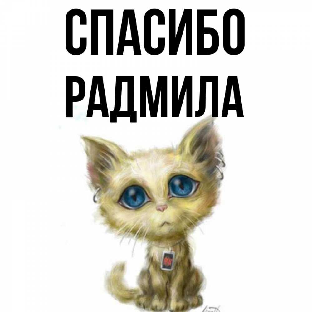 Открытка на каждый день с именем, Радмила Спасибо рисованный кот благодарит вас Прикольная открытка с пожеланием онлайн скачать бесплатно 