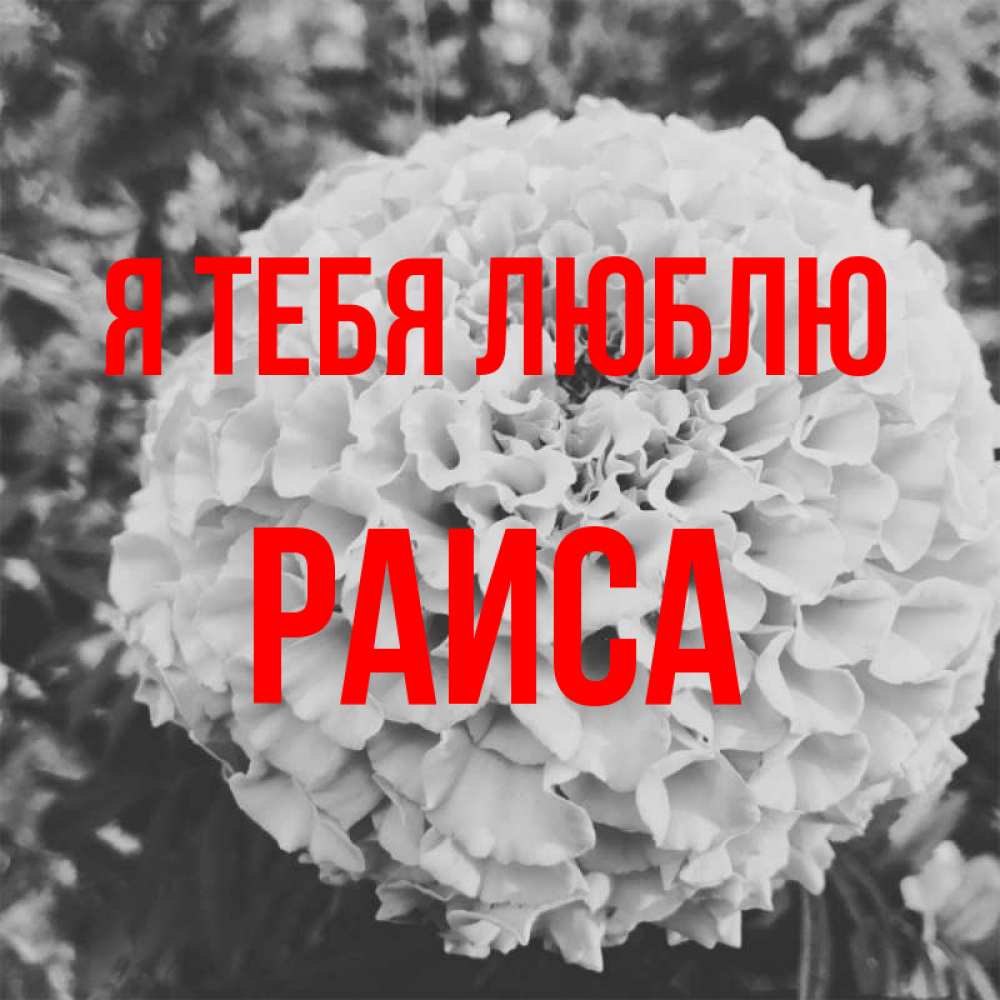 Открытка на каждый день с именем, Раиса Я тебя люблю подпись Прикольная открытка с пожеланием онлайн скачать бесплатно 