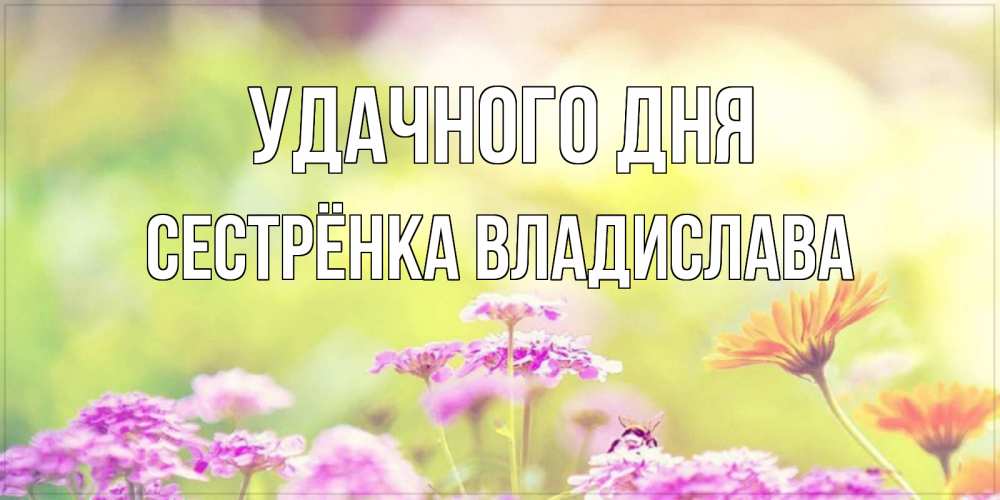 Открытка на каждый день с именем, Сестрёнка-Владислава Удачного дня красивая открытка с летней темой Прикольная открытка с пожеланием онлайн скачать бесплатно 