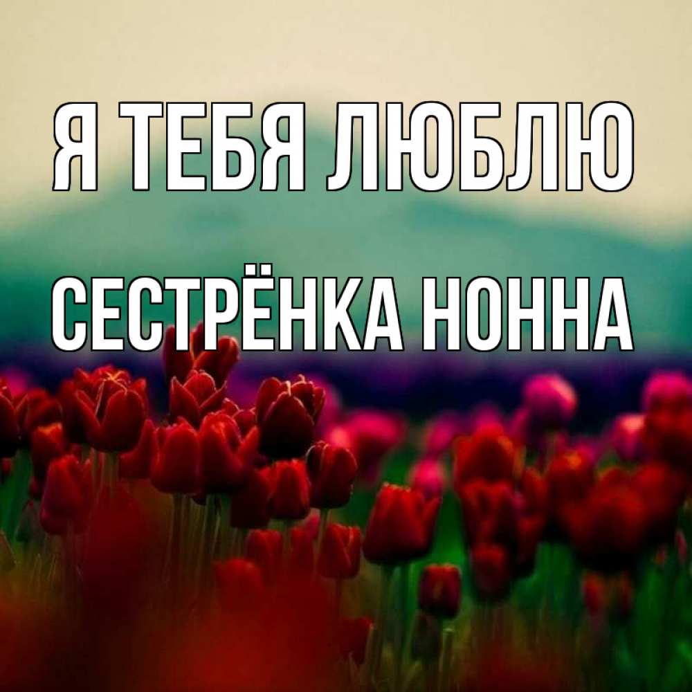 Открытка на каждый день с именем, Сестрёнка-Нонна Я тебя люблю тюльпаны 4 Прикольная открытка с пожеланием онлайн скачать бесплатно 