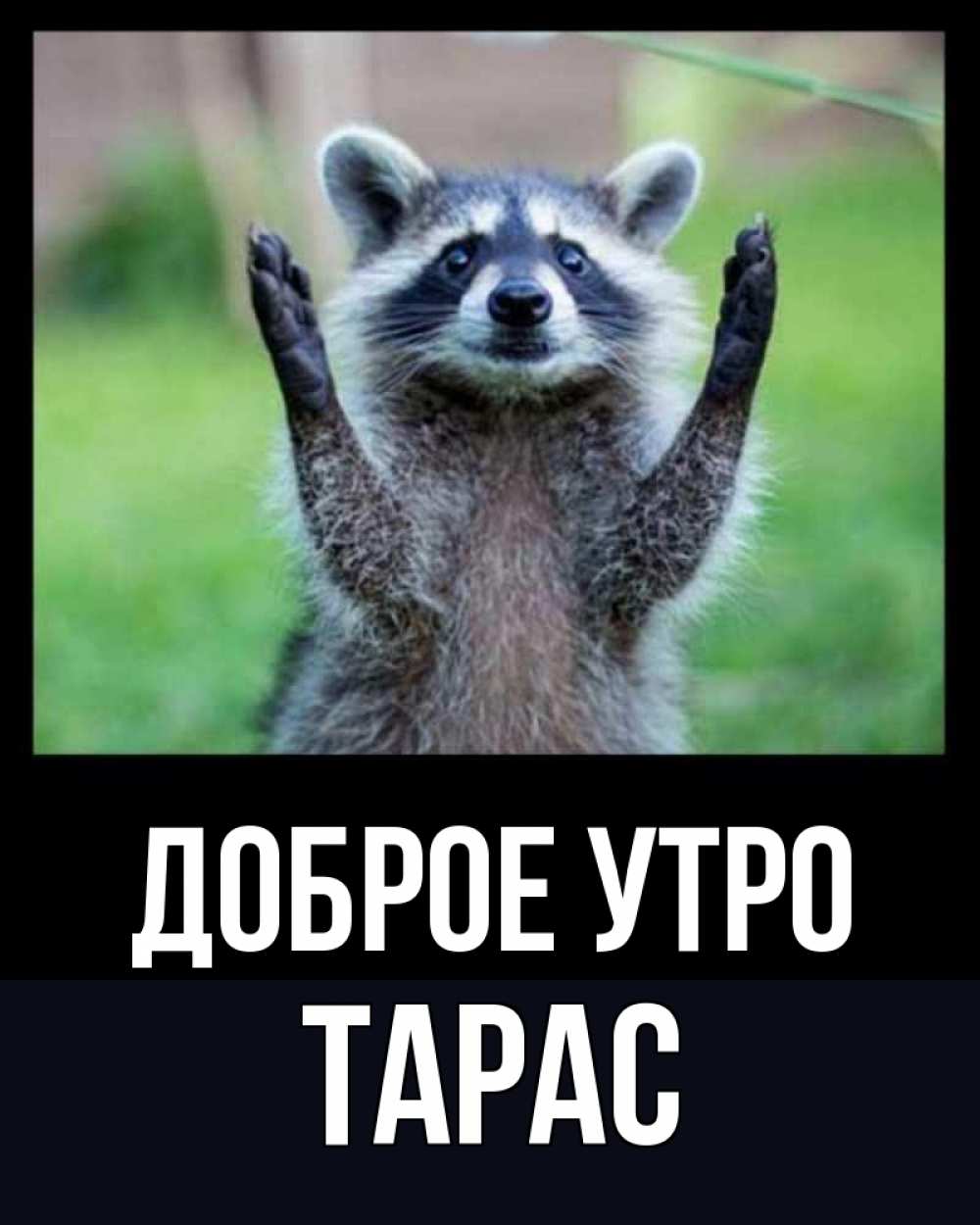 Открытка на каждый день с именем, Тарас Доброе утро хорошее настроение утречком Прикольная открытка с пожеланием онлайн скачать бесплатно 