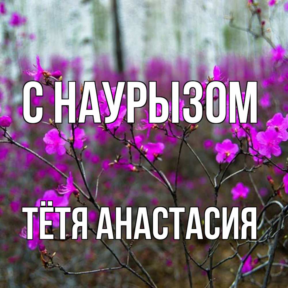 Открытка на каждый день с именем, Тётя-Анастасия С наурызом дикие цветы Прикольная открытка с пожеланием онлайн скачать бесплатно 