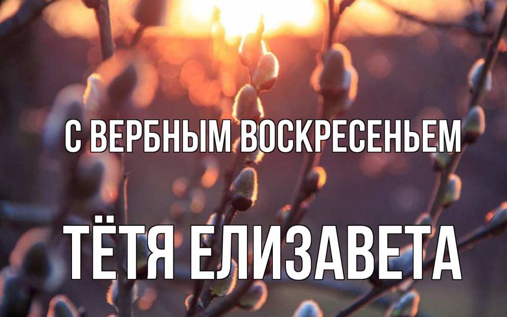 Открытка на каждый день с именем, Тётя-Елизавета С вербным воскресеньем верба Прикольная открытка с пожеланием онлайн скачать бесплатно 