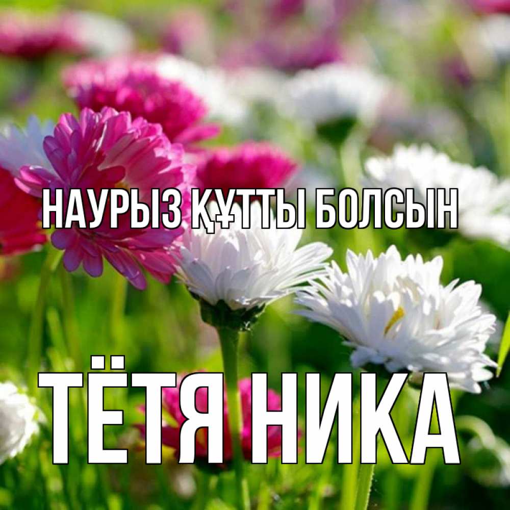 Открытка на каждый день с именем, Тётя-Ника Наурыз құтты болсын наурыз Прикольная открытка с пожеланием онлайн скачать бесплатно 