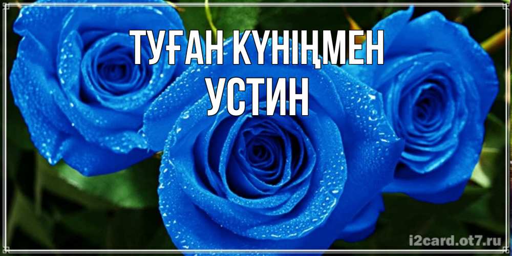 Открытка на каждый день с именем, Устин Туған күніңмен розы с синим цветом Прикольная открытка с пожеланием онлайн скачать бесплатно 