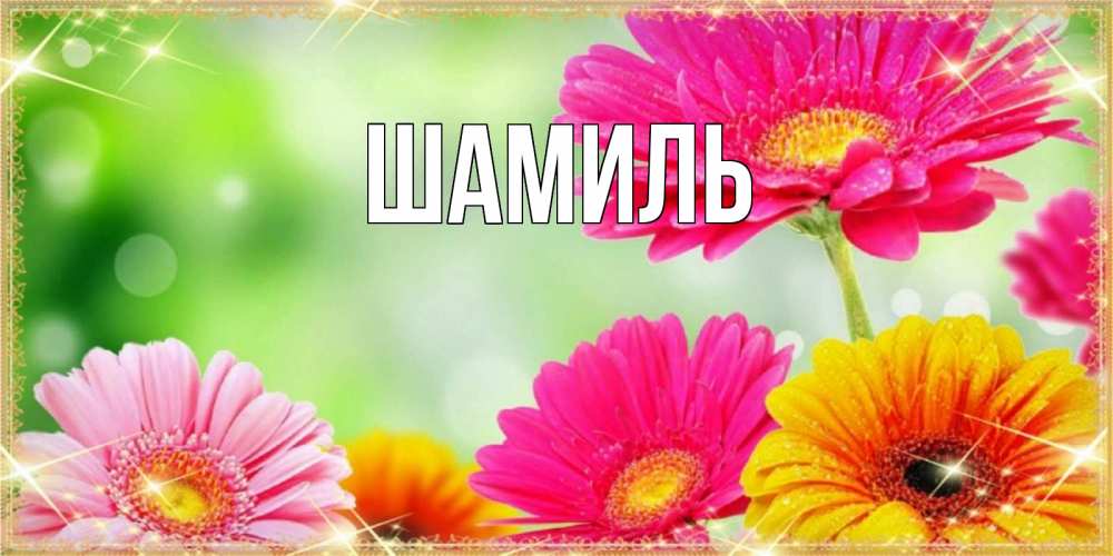 Открытка на каждый день с именем, Шамиль Главная цветочки для любимой женщины Прикольная открытка с пожеланием онлайн скачать бесплатно 