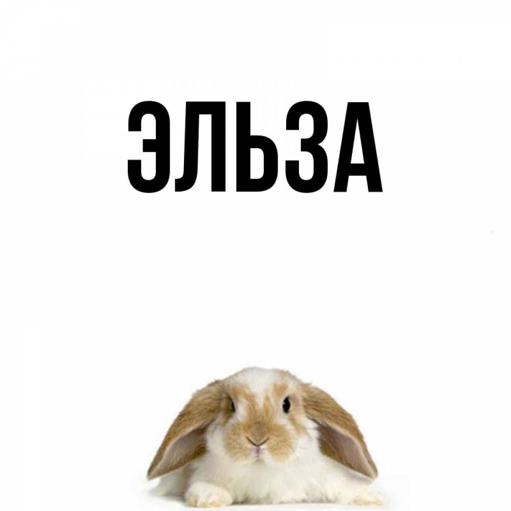 Открытка на каждый день с именем, Эльза Главная открытки с произвольным текстом который можно вставить в открытку и создать ее самостоятельно бесплатно онлайн Прикольная открытка с пожеланием онлайн скачать бесплатно 