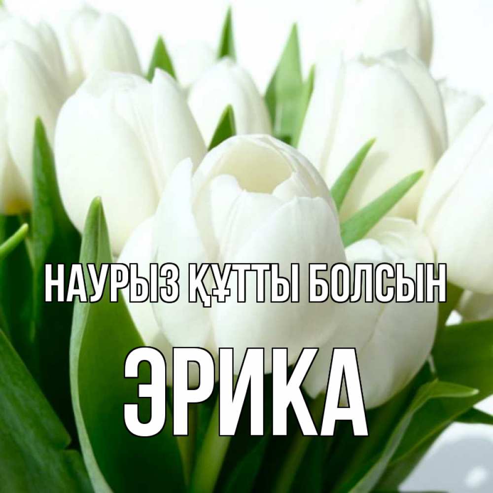 Открытка на каждый день с именем, Эрика Наурыз құтты болсын цветы Прикольная открытка с пожеланием онлайн скачать бесплатно 