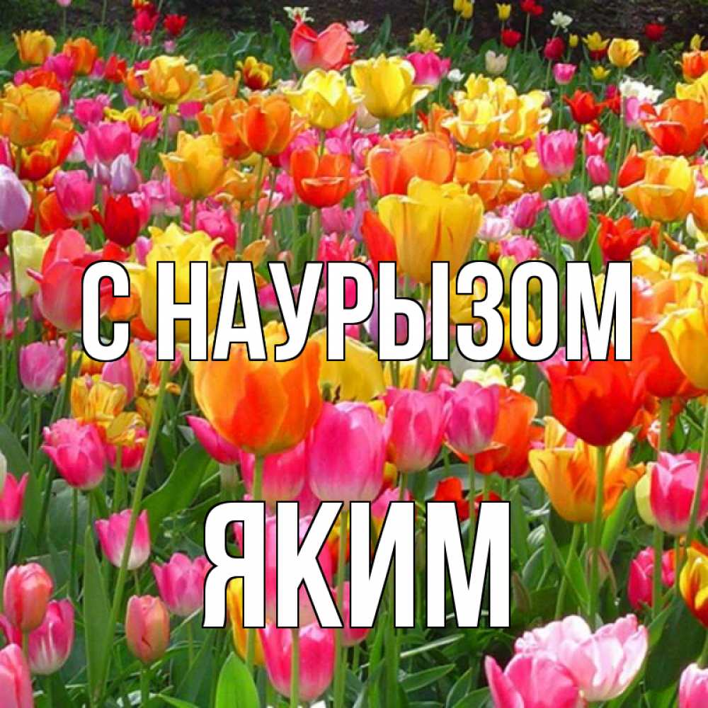 Открытка на каждый день с именем, Яким С наурызом праздник весны наурыз 4 Прикольная открытка с пожеланием онлайн скачать бесплатно 