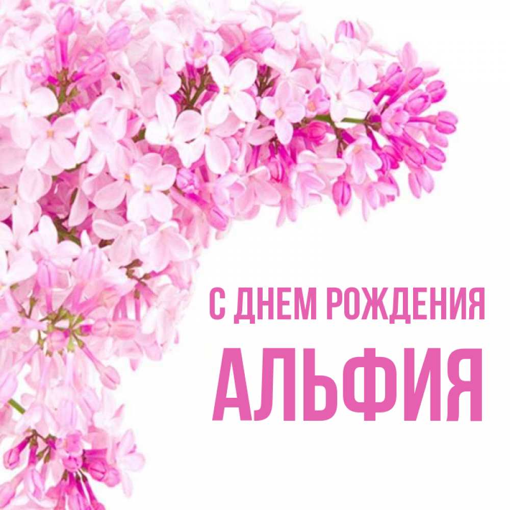 Открытка на каждый день с именем, АЛЬФИЯ С днем рождения Сирень на белом фоне Прикольная открытка с пожеланием онлайн скачать бесплатно 