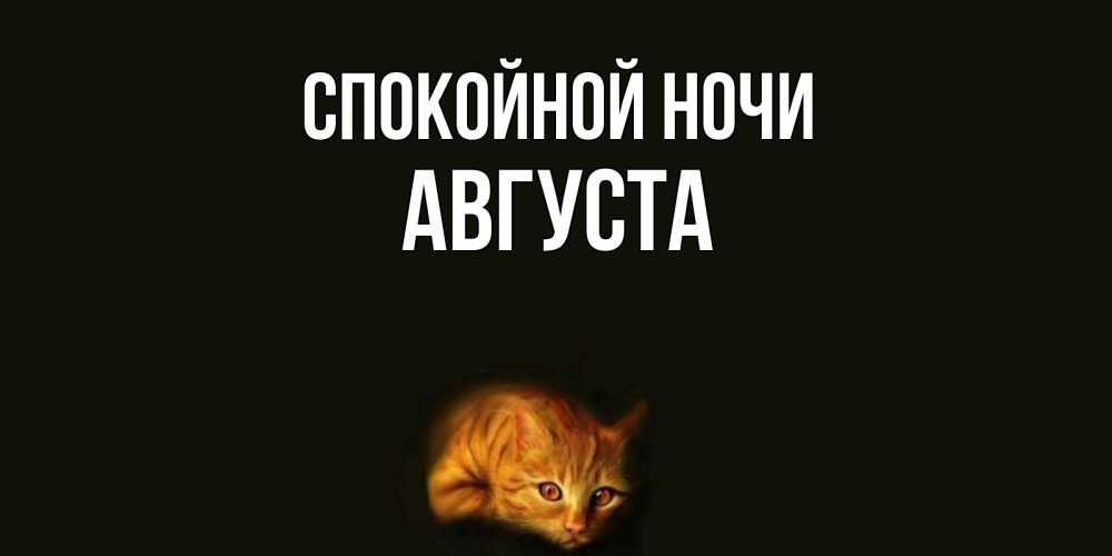Открытка на каждый день с именем, Августа Спокойной ночи кот Прикольная открытка с пожеланием онлайн скачать бесплатно 
