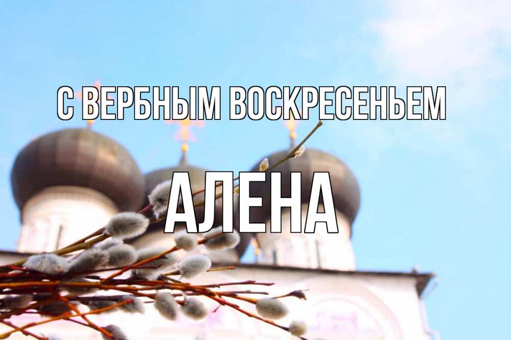 Открытка на каждый день с именем, Алена С вербным воскресеньем верба Прикольная открытка с пожеланием онлайн скачать бесплатно 