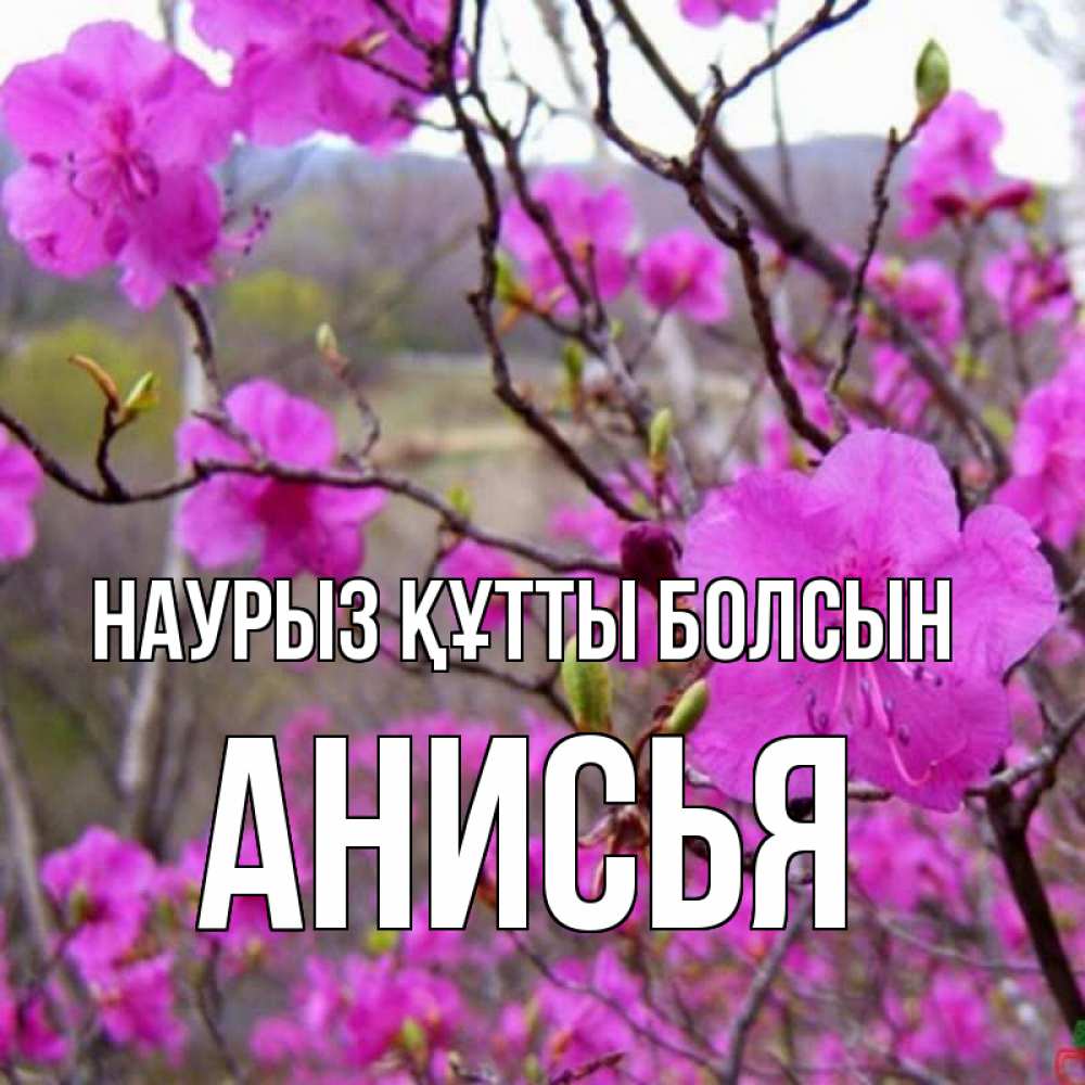 Открытка на каждый день с именем, Анисья Наурыз құтты болсын наурыз мейрамы кутты болсын Прикольная открытка с пожеланием онлайн скачать бесплатно 