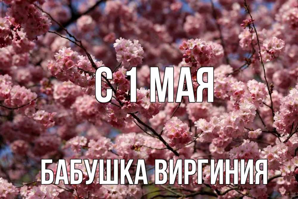 Открытка на каждый день с именем, Бабушка-Виргиния С 1 мая С 1 мая Прикольная открытка с пожеланием онлайн скачать бесплатно 