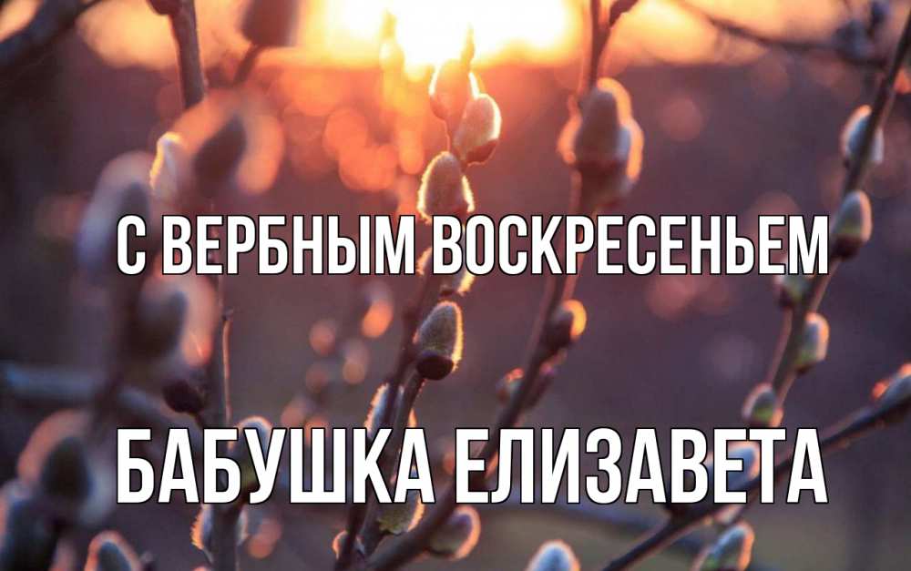 Открытка на каждый день с именем, Бабушка-Елизавета С вербным воскресеньем верба Прикольная открытка с пожеланием онлайн скачать бесплатно 