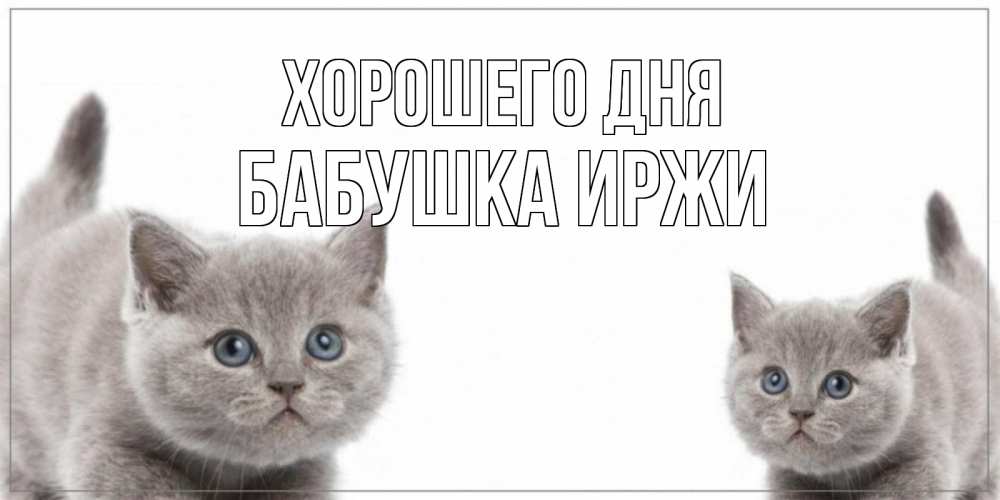Открытка на каждый день с именем, Бабушка-Иржи Хорошего дня открытка с котами Прикольная открытка с пожеланием онлайн скачать бесплатно 
