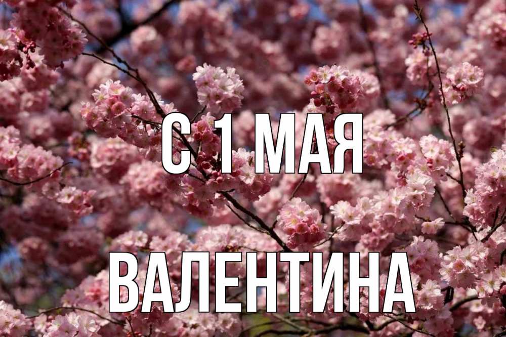 Открытка на каждый день с именем, Валентина С 1 мая С 1 мая Прикольная открытка с пожеланием онлайн скачать бесплатно 