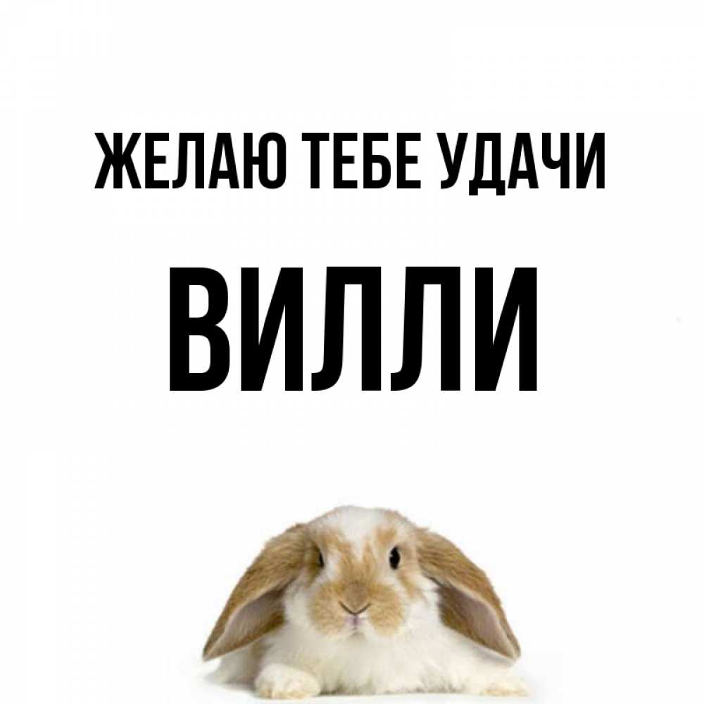Открытка на каждый день с именем, Вилли Желаю тебе удачи открытки с произвольным текстом который можно вставить в открытку и создать ее самостоятельно бесплатно онлайн Прикольная открытка с пожеланием онлайн скачать бесплатно 