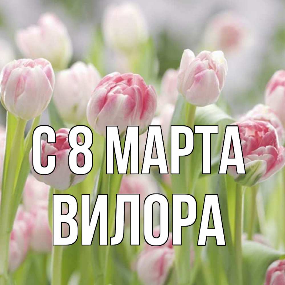 Открытка на каждый день с именем, Вилора С 8 МАРТА цветы Прикольная открытка с пожеланием онлайн скачать бесплатно 