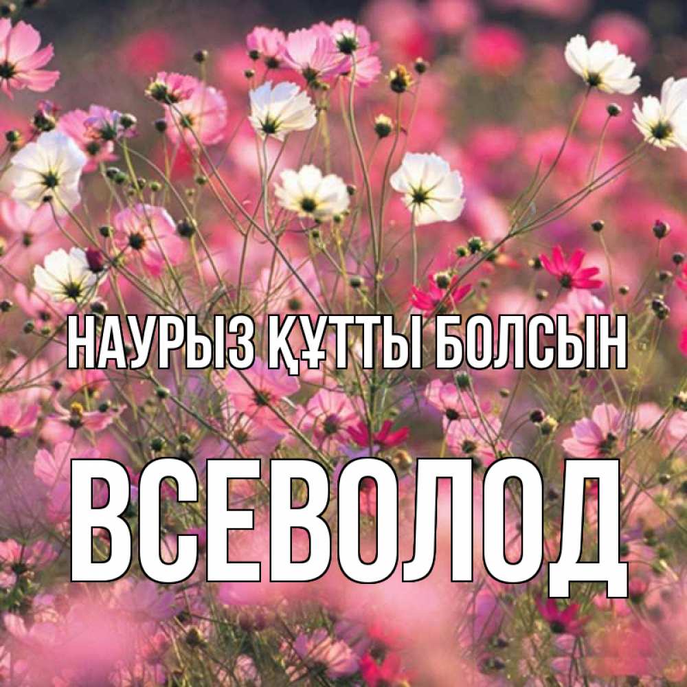 Открытка на каждый день с именем, Всеволод Наурыз құтты болсын красиво 1 Прикольная открытка с пожеланием онлайн скачать бесплатно 